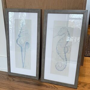 Coastal Blue Sea Life Art Prints 21 1/2 x 11 1/2